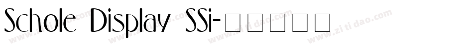 Schole Display SSi字体转换